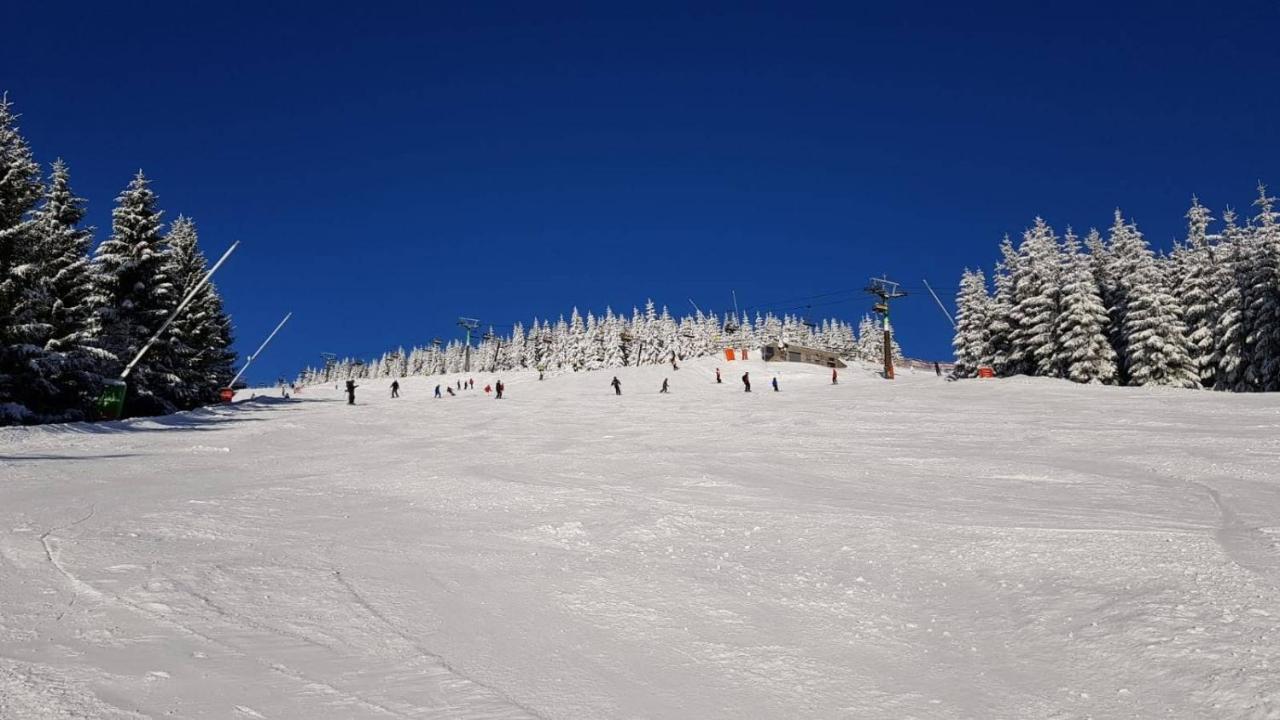 Apartman Medvedin 110 Spindleruv Mlyn Exterior photo