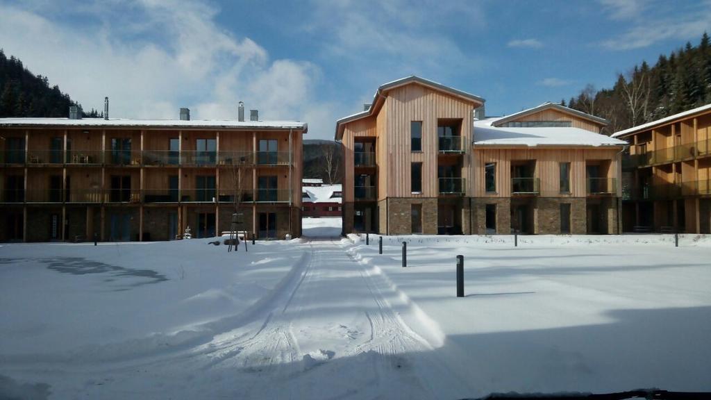 Apartman Medvedin 110 Spindleruv Mlyn Exterior photo